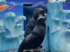 -太原动物园