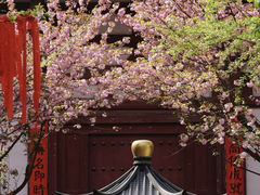 -西安青龙寺遗址景区