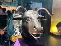 -广西壮族自治区博物馆