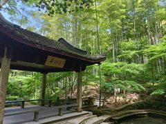 -春娟茶楼·地道农家菜(梅家坞店)