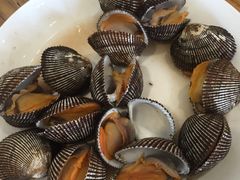 -滨海小渔村·海肠捞饭·鲅鱼水饺·特色老火鱼丸汤(华田店)