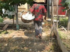 -马陆小张葡萄园农家乐