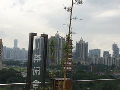 -小茶闲舍·观景商务茶馆(广州塔店)