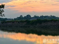 -大湾区中央湿地公园