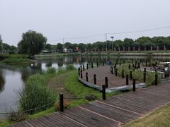 -明珠湖天鹅苑·农家菜馆