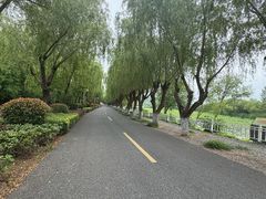 -三山岛