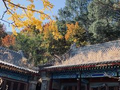 -阳台山自然风景区