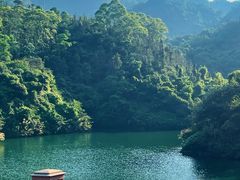 -佛山市三水区大南山森林公园