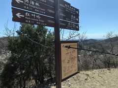 -北京西山国家森林公园