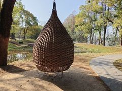 -东湖落雁景区
