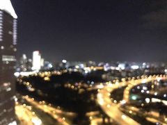 -新加坡丽思卡尔顿美年酒店