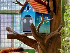 -海合安武汉极地海洋公园