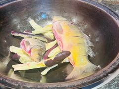 -老渔翁炖鱼坊(黄海西路东山店)