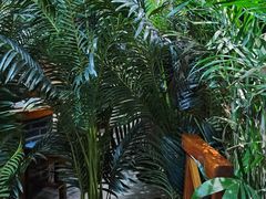 -天发长铁锅炖(王秀村店)