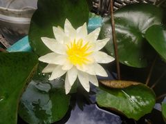 -长兴菜馆(高桥店)