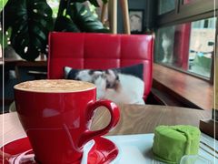 -咖法森林·咖啡  酒吧(天河店)