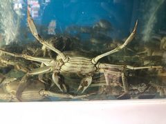 -众彩物流水产市场