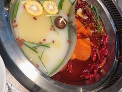 小熊鸳鸯锅-红辣椒·川菜·火锅(张杨路店)