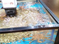 -盒马鲜生(皇庭广场店)