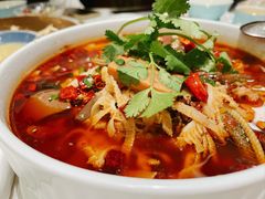 -蝶园·装修中(BFC外滩金融中心店)