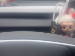 -TESLA 特斯拉(北京南四环中路特斯拉中心)