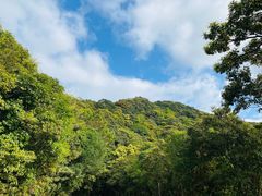 -梧桐山风景名胜区