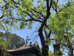 -北京国子监胡同