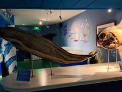 -烟台海昌鲸鲨海洋公园