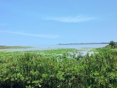 -梁子湖东篱老屋生态庄园