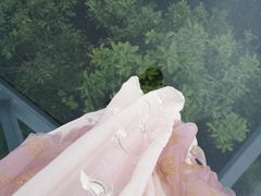 -呀诺达热带雨林