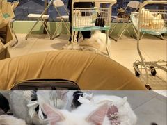 -怪兽屋·羊驼·猫咖·狗咖(俊华广场店)