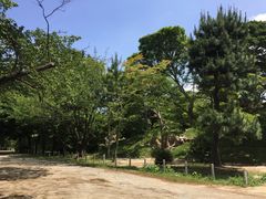 -名古屋城