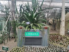 -南山植物园