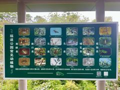 -福道