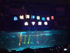 -泉城欧乐堡海洋极地世界