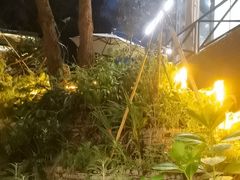 -宅里香.自然餐厅(湘大店)