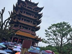 -黄鹤楼公园(黄鹤楼)