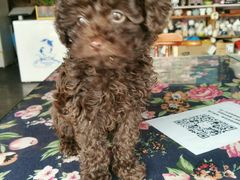 android_upload_pic-赢吧Bliss音乐酒吧
