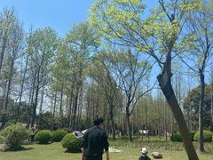 -潮府馆·非遗潮州菜·世纪公园(新国际博览中心店)