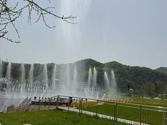 -千年银杏谷文化旅游区