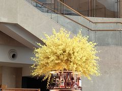 -Plush大堂酒廊(北京金融街威斯汀大酒店)