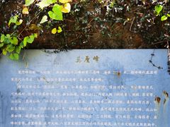 -雨花胜境