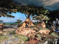 -国家自然博物馆