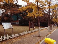 -八大关景区