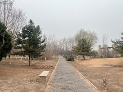 -绿堤公园