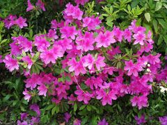 -Patek Philippe百达翡丽(上海源邸店)