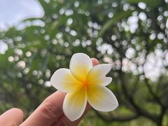 -福田红树林生态公园