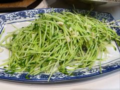 炒豆苗-蜀都餐厅(凤池店)