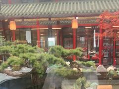 -老山东·山东菜(鲁菜名店)