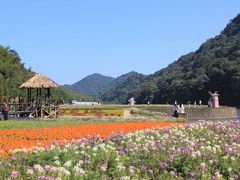 -广州市石门国家森林公园